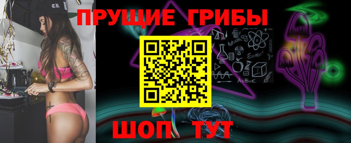Галлюциногенные грибы Psilocybine cubensis Донецк
